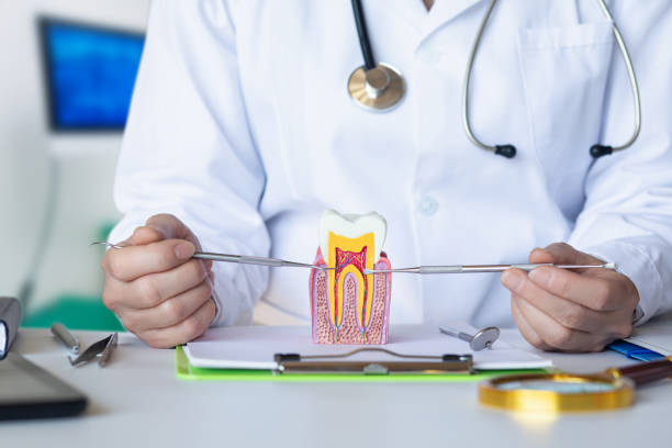 Best Emergency Treatment for Dental Infections or Abscesses in Fort Dix, NJ
